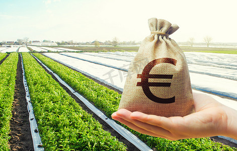 农业补贴摄影照片_在马铃薯计划的背景下，一只手伸出一个欧元钱袋