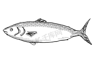 Kahawai 新西兰鱼卡通复古绘图