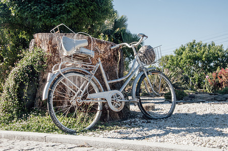 停在美丽花园的大树干上的老式女式自行车