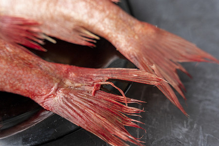 两具冷冻的无头红海鲈鱼尸体