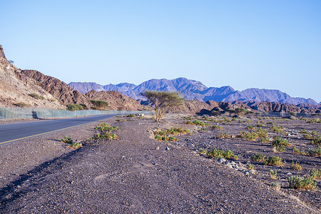 阿联酋摄影照片_阿联酋沙迦酋长国的山路