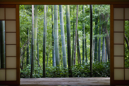从茶馆看到的日本京都 Okochi Denjiro 竹林