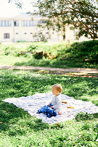 在建筑物和树木的背景下，小婴儿坐在草坪上的格子毯上，向旁边看去
