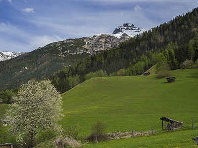 绿色花草草地摄影照片_绿色的春天草地，干草棚和盛开的花草树木，森林和白雪覆盖的山峰在 Stubai 山谷，蓝天白云。