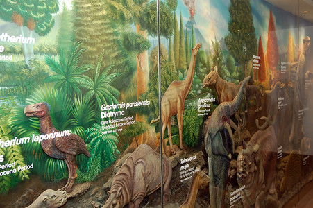 塔吉格博尼法西奥环球城心灵博物馆恐龙图片，