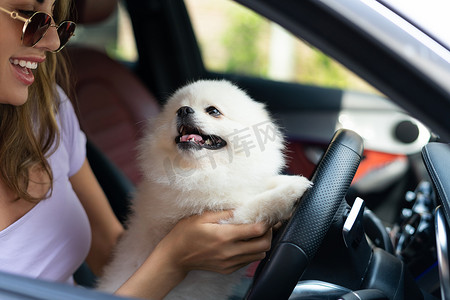 一个快乐的女人和一条狗在夏天旅行的车里。