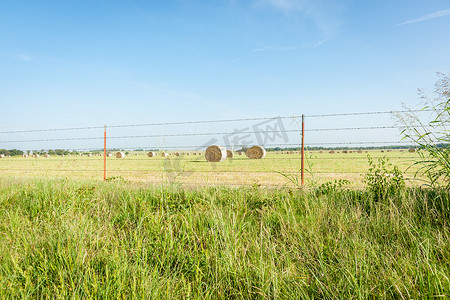 农村场景，干草捆田野，俄克拉何马州。