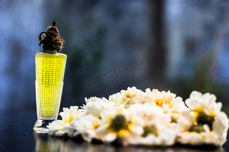 玻璃瓶中普通雏菊或英国雏菊的香味或香水，以及黑色木板上的一些雏菊花，背景模糊，有选择的焦点。