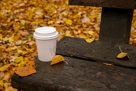 生态零废白纸杯复制空间模型在公园的木凳上。
