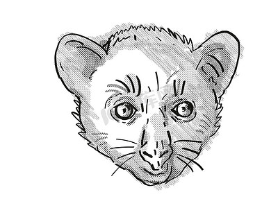 Aye-Aye 或 Daubentonia madagascariensis 濒危野生动物卡通复古绘图