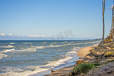 土地侵蚀摄影照片_波兰 Orzechowo 的波罗的海海滩，树木和侵蚀的沙丘
