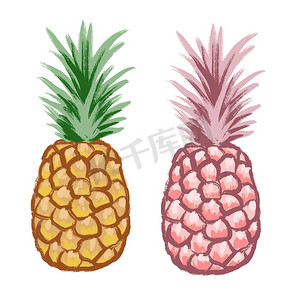 粉色菠萝摄影照片_水果菠萝的手绘插图，热带甜点食品，鲜艳的彩色素描风格。