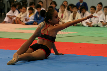 巴伊亚南部艺术体操运动员