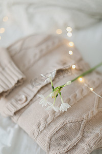 浅色背景上带有美丽水仙花和毛衣的创意构图。