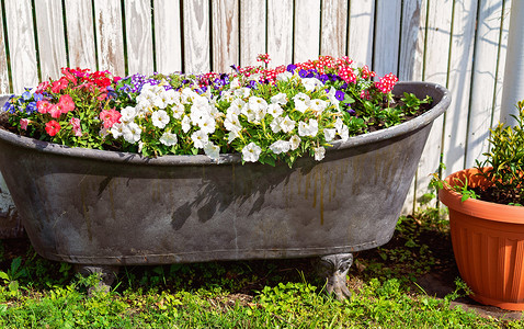 一个装满五颜六色花朵的浴缸