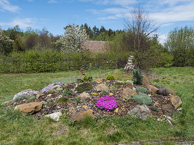 在春天的花园里欣赏美丽的岩石花园，盛开着粉红色的福禄考、Armeria maritima、海参、Bergenia 或大象耳朵、康乃馨和许多其他盛开的五颜六色的花朵。