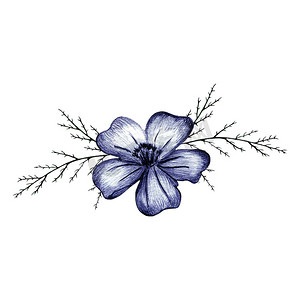 蓝色手手绘摄影照片_蓝色手绘万寿菊花在白色背景下分离。