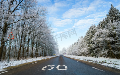 荷兰冬季道路的冬季天气，弗莱福兰的白雪皑皑的霜树