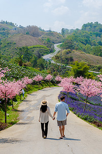泰国 Phetchabun Kha Kho 山区花园里的男女情侣