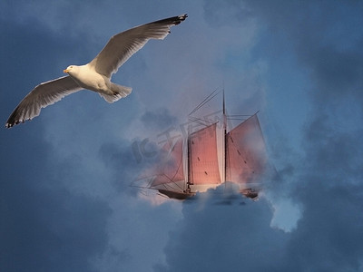 帆船海鸥摄影照片_帆船和海鸥