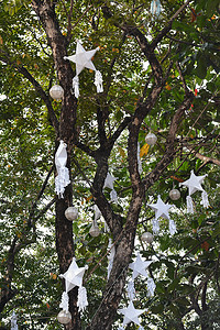 圣诞树叶摄影照片_菲利普 Antipolo 挂着树叶和圣诞灯笼