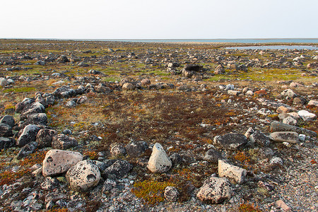 阿尔维亚特以北哈德逊湾沿岸的几个因纽特人帐篷环遗迹，位于一个名为 Qikiqtarjuq 的地方