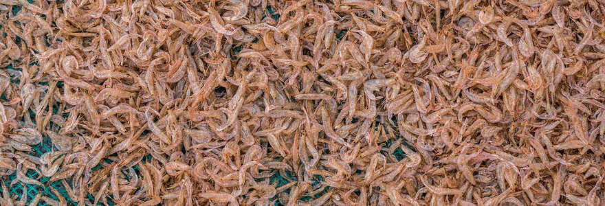 大量虾摄影照片_大量干虾背景市场出售。
