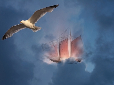 帆船和海鸥