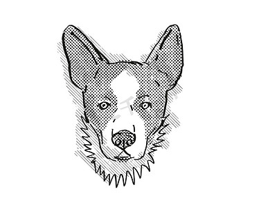 卡通哺乳动物摄影照片_羊毛衫威尔士柯基犬品种卡通复古绘图