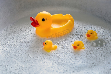 小鸭摄影照片_一只橡皮鸭和三只小鸭在泡沫中游泳。
