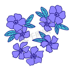 蓝紫色光条摄影照片_长春花蓝紫色花朵与绿叶的手绘插图。