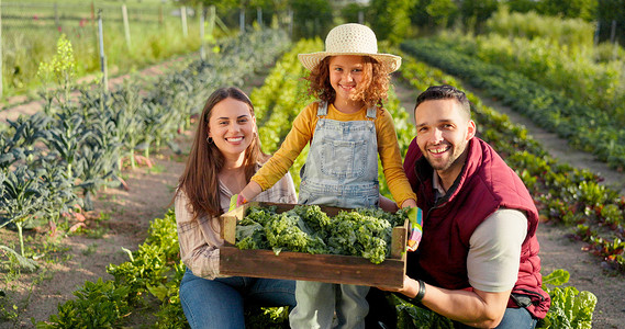 植物、蔬菜和幸福的家庭在农场种植农业、天然和有机健康食品。