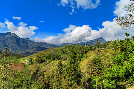 弯曲的梯田 SaPa VietNam Lao Cai