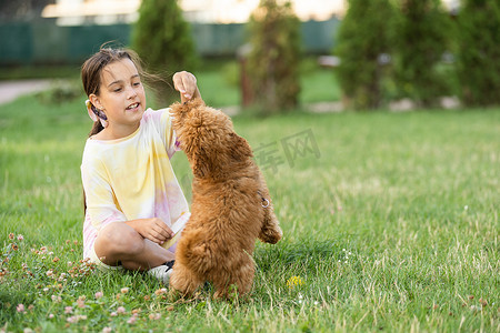 一个小女孩与可爱的马耳他人和贵宾犬混合小狗或 Maltipoo 狗