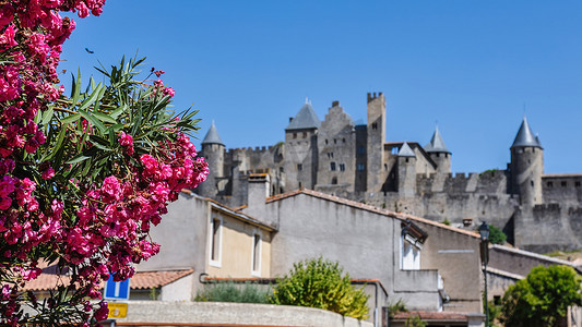 卡尔卡松著名老城堡看法在法国。