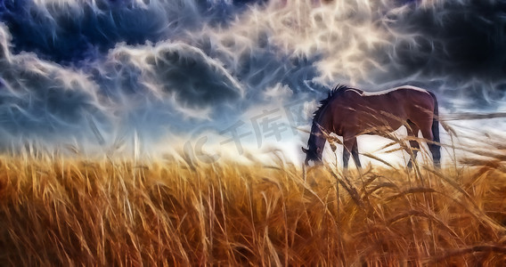 马在暴风雨的天空中放牧
