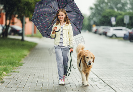 秋天雨天摄影照片_雨天带着金毛狗的女孩
