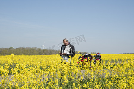 人在油菜花摄影照片_一个中年骑自行车的人在开花的黄色油菜花田里，使用导航器