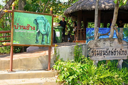 泰国曼谷考丁公园杜斯特动物园的大象屋