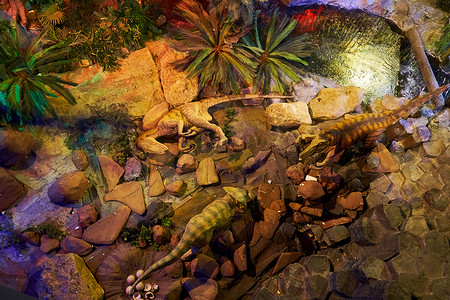 吐鲁番博物馆摄影照片_侏罗纪公园内部博物馆与机器人恐龙