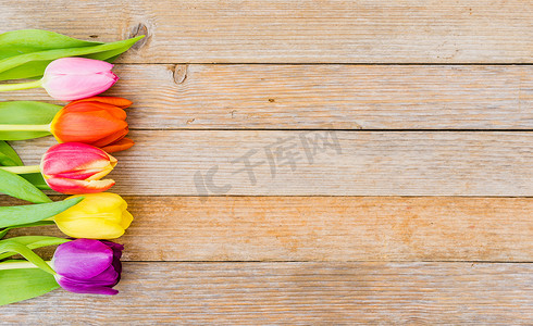 木制背景上的五颜六色的郁金香花