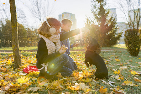 在阳光明媚的秋季公园里和腊肠狗玩耍的儿童男孩和女孩