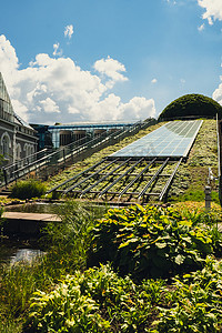 华沙大学图书馆现代建筑和绿化屋顶上的植物园。