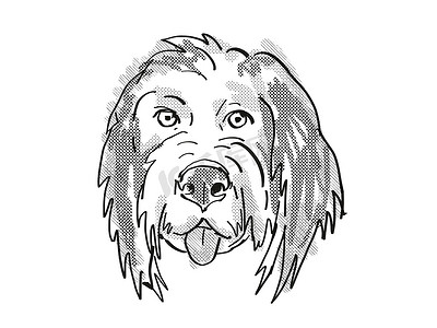 Bernedoodle 或 Bernese Mountain Poo 狗品种卡通复古绘图