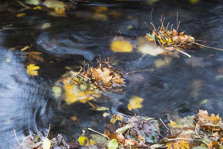 捷克共和国 luzicke hory lusitian 山秋季森林溪流长时间暴露水中的彩色落叶与石头和苔藓