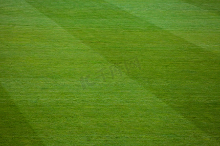 二次元窗外的操场摄影照片_足球场的绿色天然草
