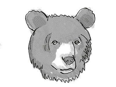 亚洲黑熊濒危野生动物卡通复古画