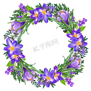 手绘水彩花卉背景摄影照片_带番红花的田野紫罗兰花花环，手绘水彩插图