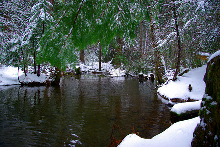 冰池塘摄影照片_冬季池塘
