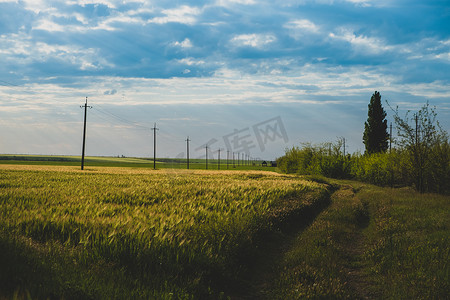 一条路的乡村景观。